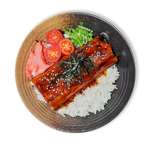 Unagi Don